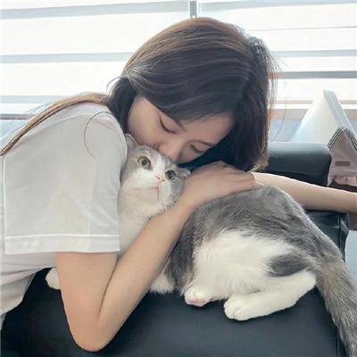 战国妖姬 海报